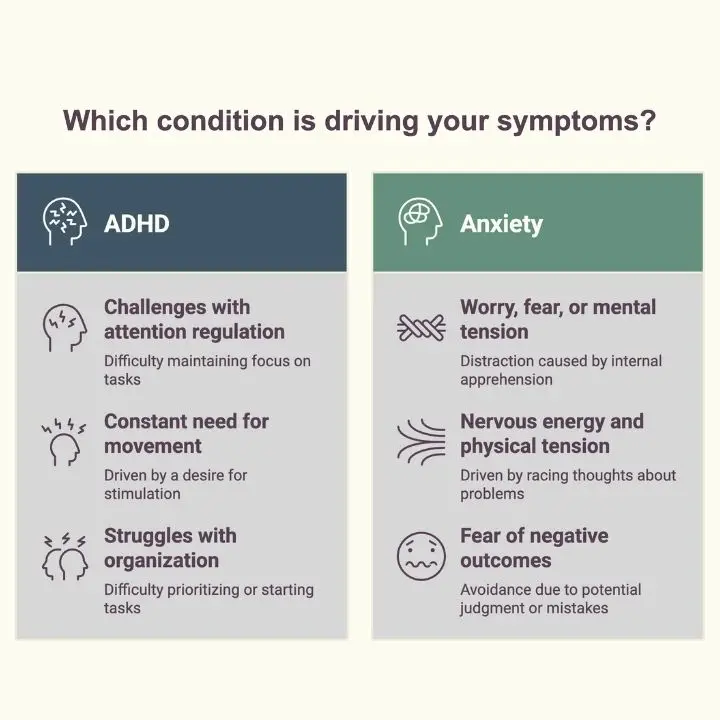 Infographic comparing symptoms of ADHD and anxiety disorders.